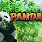 panda slot game
